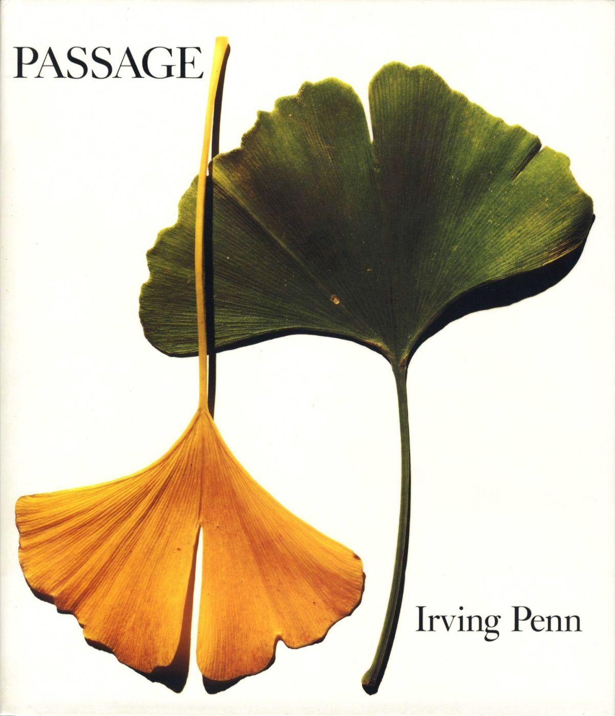 希少Irving Penn A Notebook at Random 写真集 A Notebook at Random | Irving Penn アーヴィング・ペン