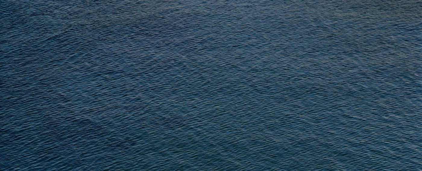 Color photograph of the rippled surface of a dark blue sea