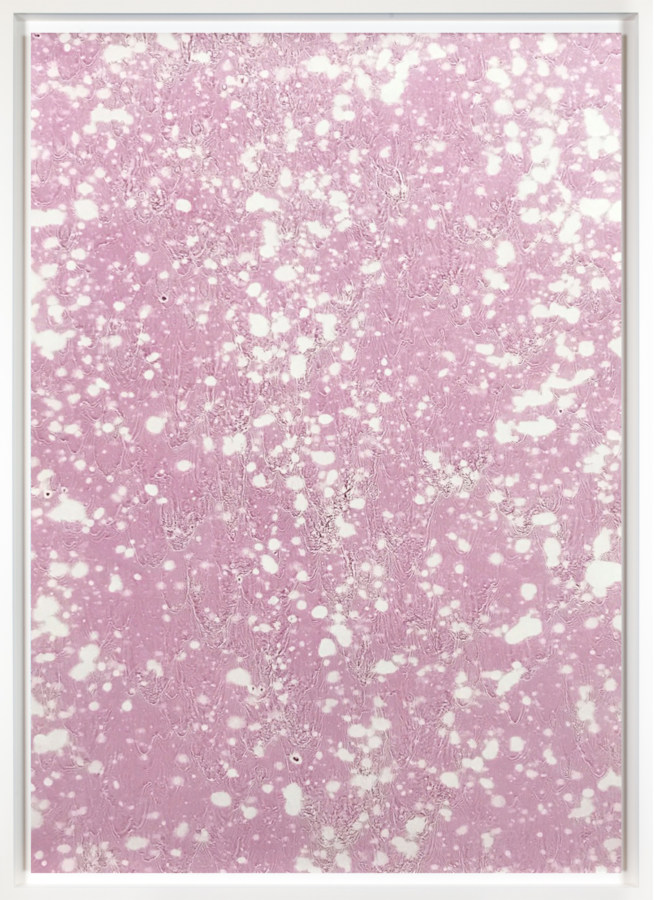 Color photograph of an abstract pattern of white spots on a mauve background