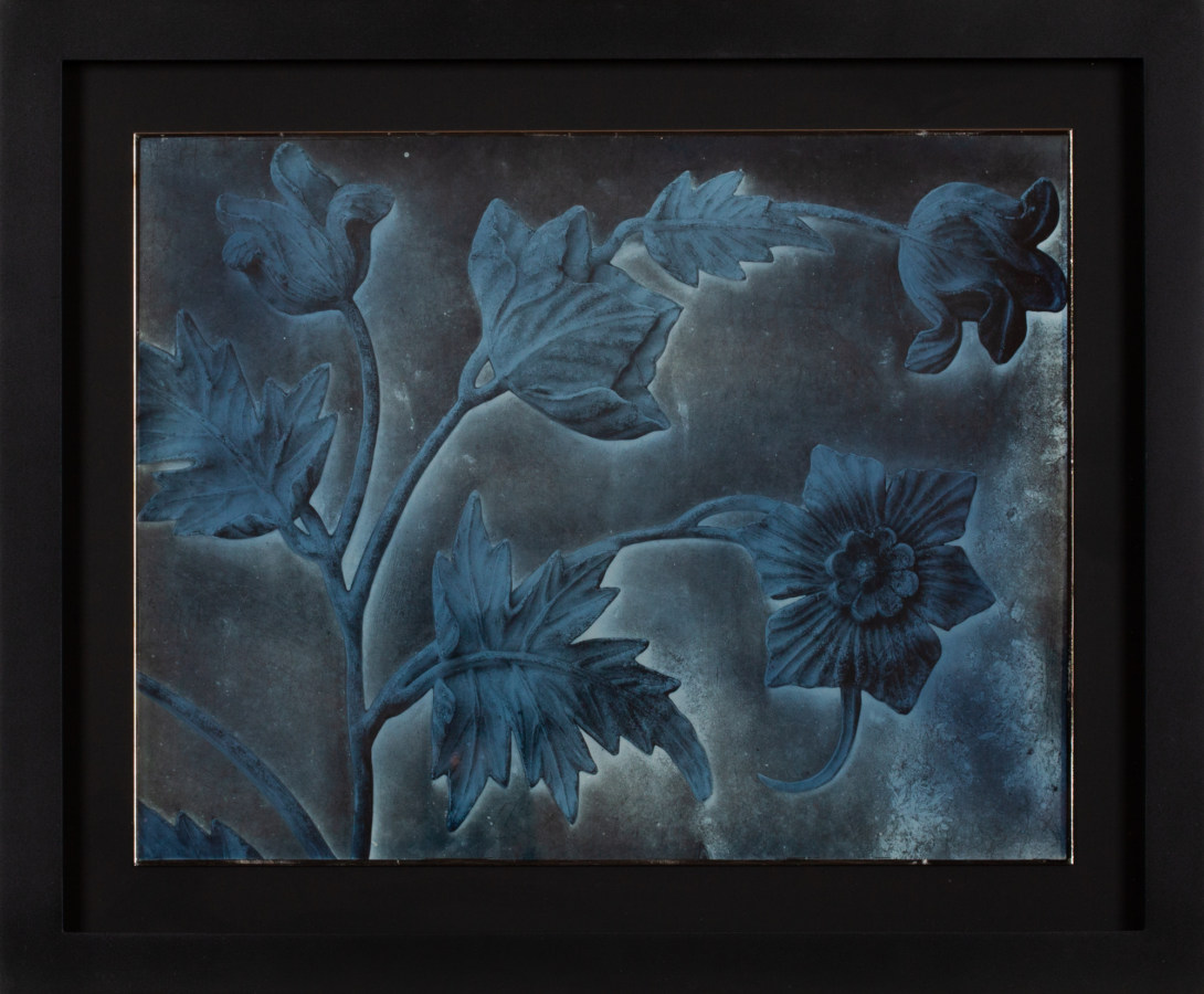Image of a framed daguerreotype photograph showing a sculptural wall relief of stems, leaves, and flowers