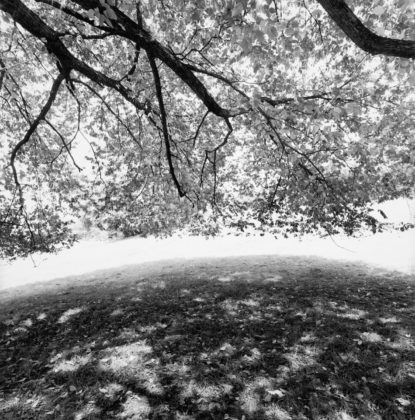 Tarrytown, N.Y., 1992, gelatin-silver print