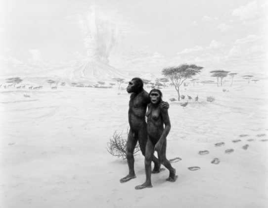 Earliest Human Relatives, 1994, gelatin-silver print