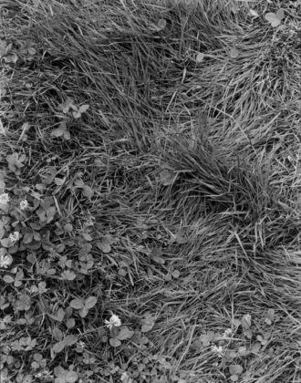 Longwood Mall, Brookline, 2009, gelatin-silver contact print