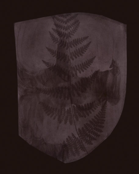 Buckler Fern (version I), March 6, 1839 or earlier, 2008, toned gelatin-silver print