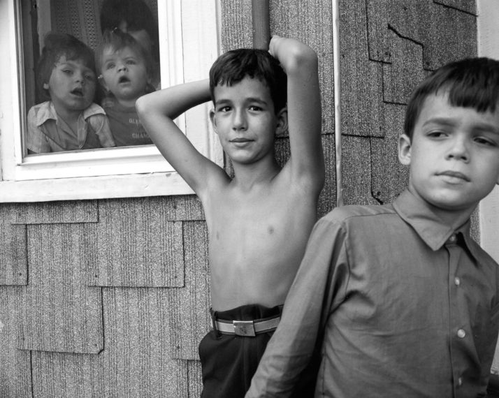 Elm Street, East Cambridge, 1981, gelatin-silver contact print