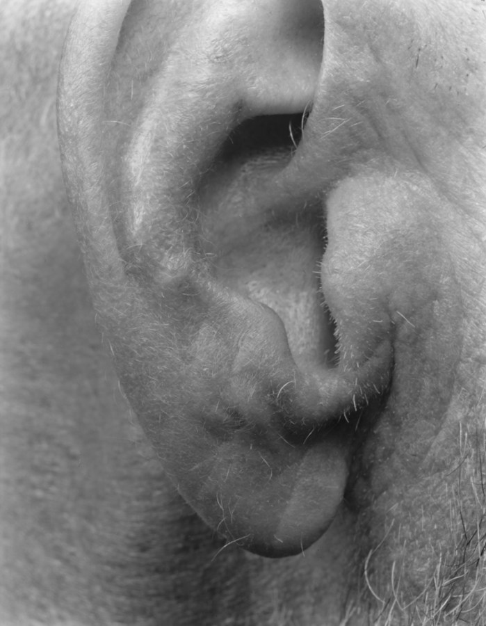 Black-and-white close-up photograph of an ear
