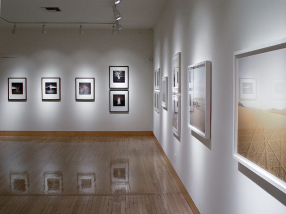 Richard Misrach Chronologies | Fraenkel Gallery