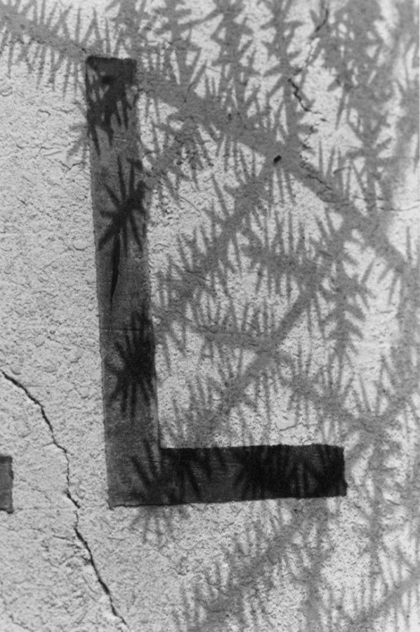 Black and white photograph of a detail of a hand painted sign of the letter 'L' painted onto a wall, shadow of some leaves