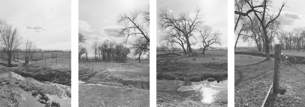 Four black-and-white photographs with trees, fence posts, and a small stream.