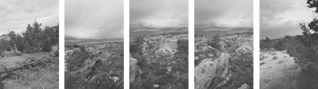 Five vertical black-and-white photographs of a valley with shrubs and a downed tree and an overcast sky.