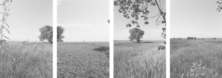 East of Longmont, Colorado, 1986, four gelatin-silver prints