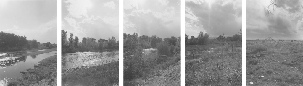 Five vertical black-and-white photographs of a grassy riverbank with trees and an overcast sky.