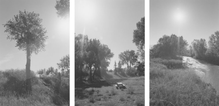 Untitled, 1994, three gelatin-silver prints
