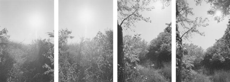 Untitled, 1994, four gelatin-silver prints