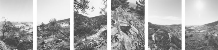 Untitled, 1994, six gelatin-silver prints