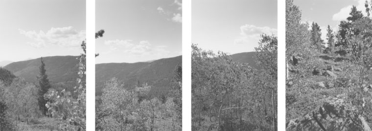 Untitled, 1994, four gelatin-silver prints