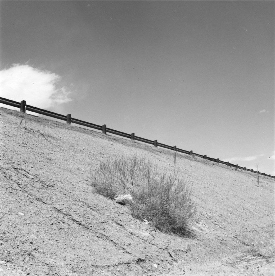 A black and white photograph of a bush and a guardrail on a freeway embankment.