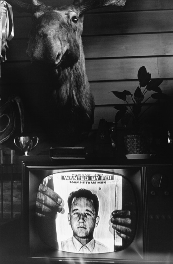 Black-and-white photograph of a television with an FBI wanted poster on screen and a taxidermy moose head on the wall in the background