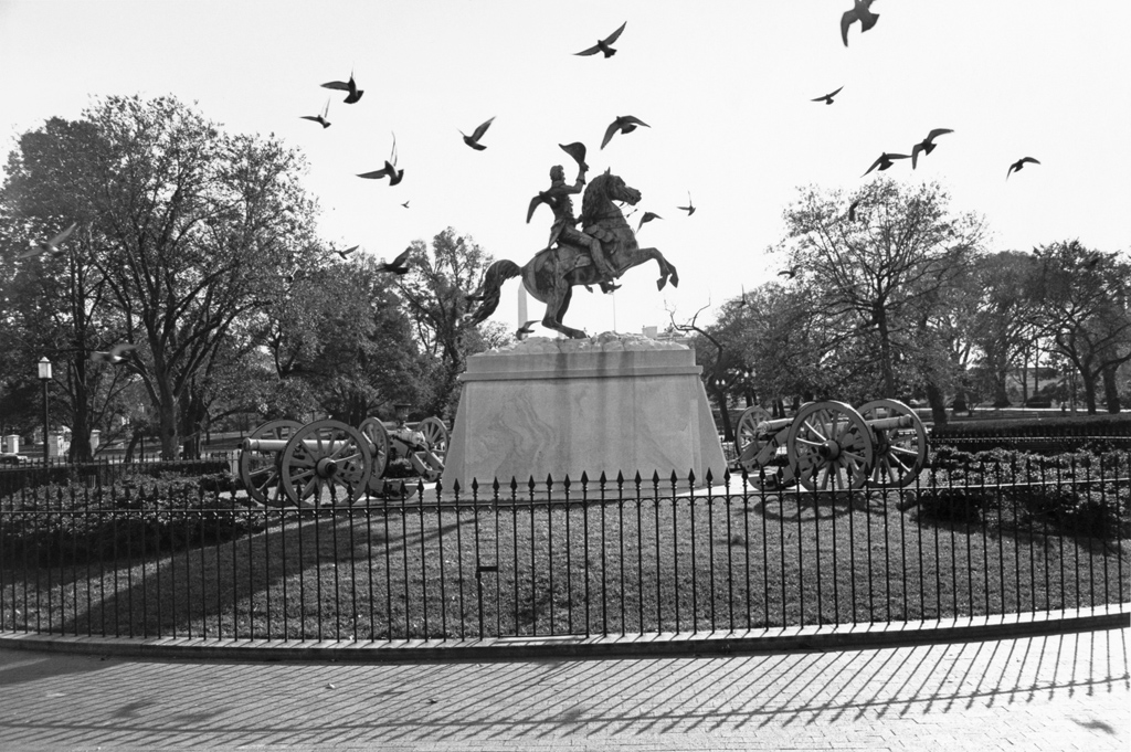 Black and white photograph of a monument of a man on a horse with birds flying in the sky