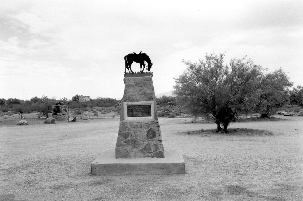 Black and white photograph of monument in an open field with trees in the background