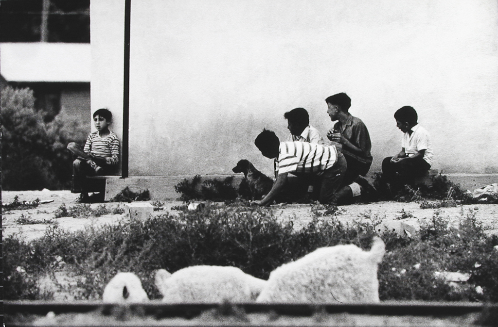 Black-and-white photograph of a group of four boys and a dog looking at another boy sitting at the corner of a building