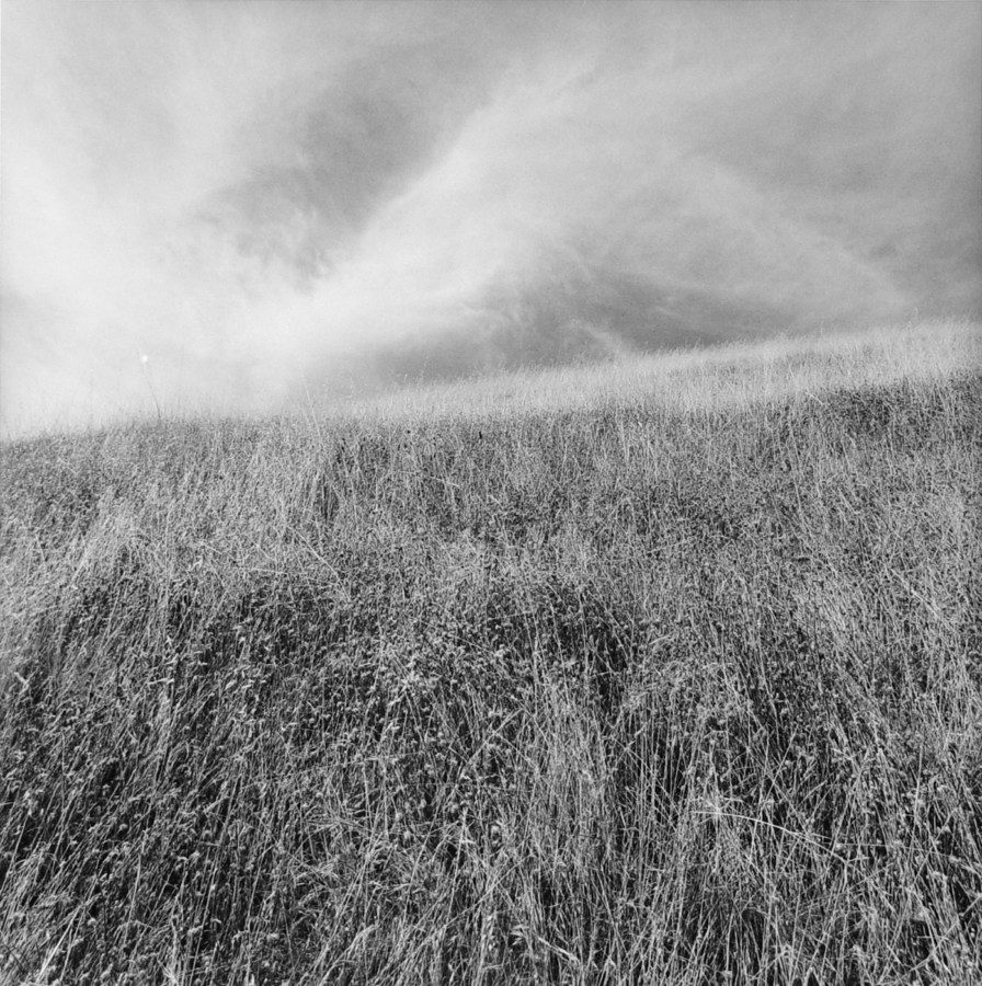 Black-and-white photograph of a grassy field with wispy clouds