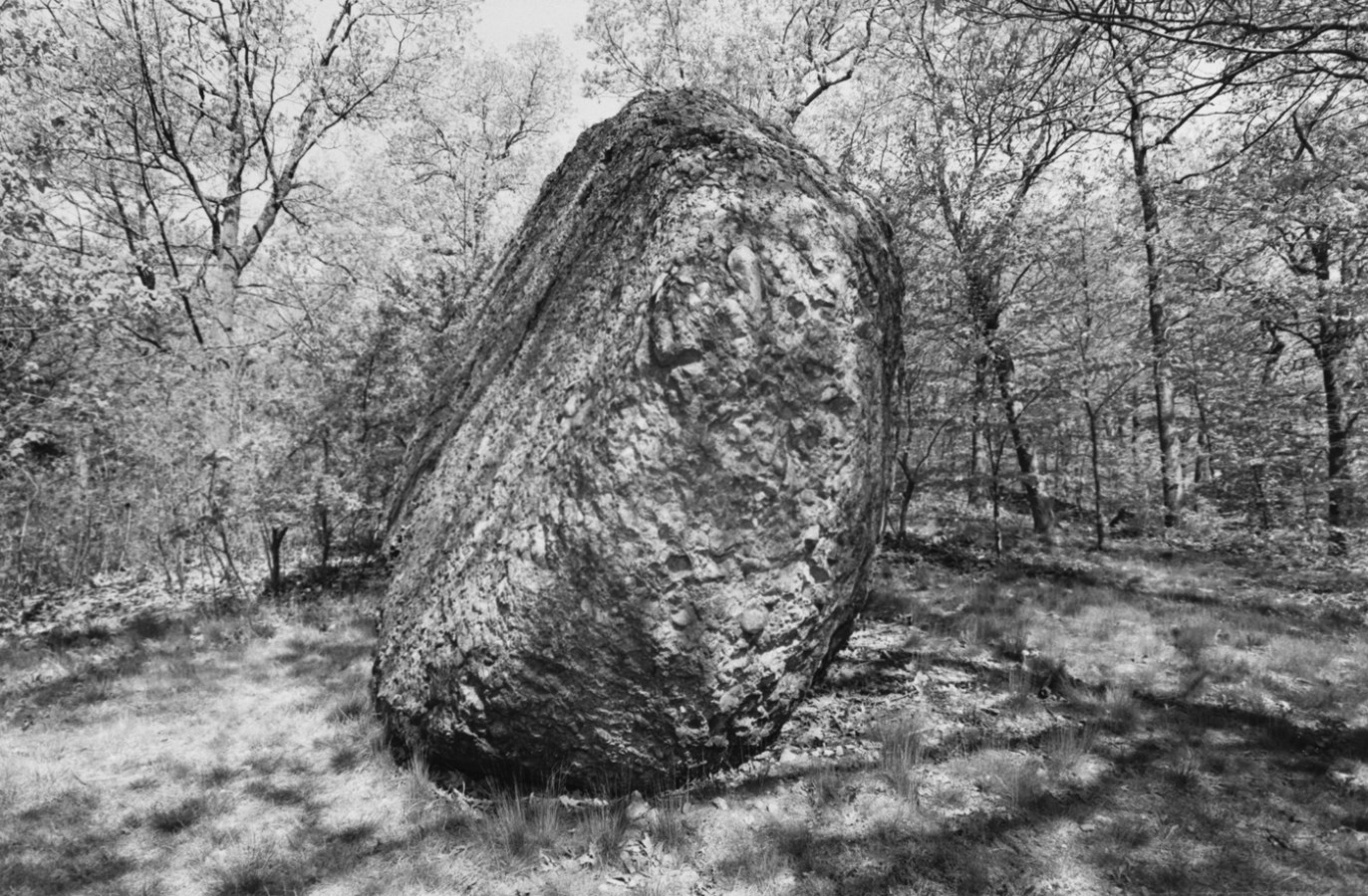 Black-and-white photograph of a large rock in a clearing surrounded by trees