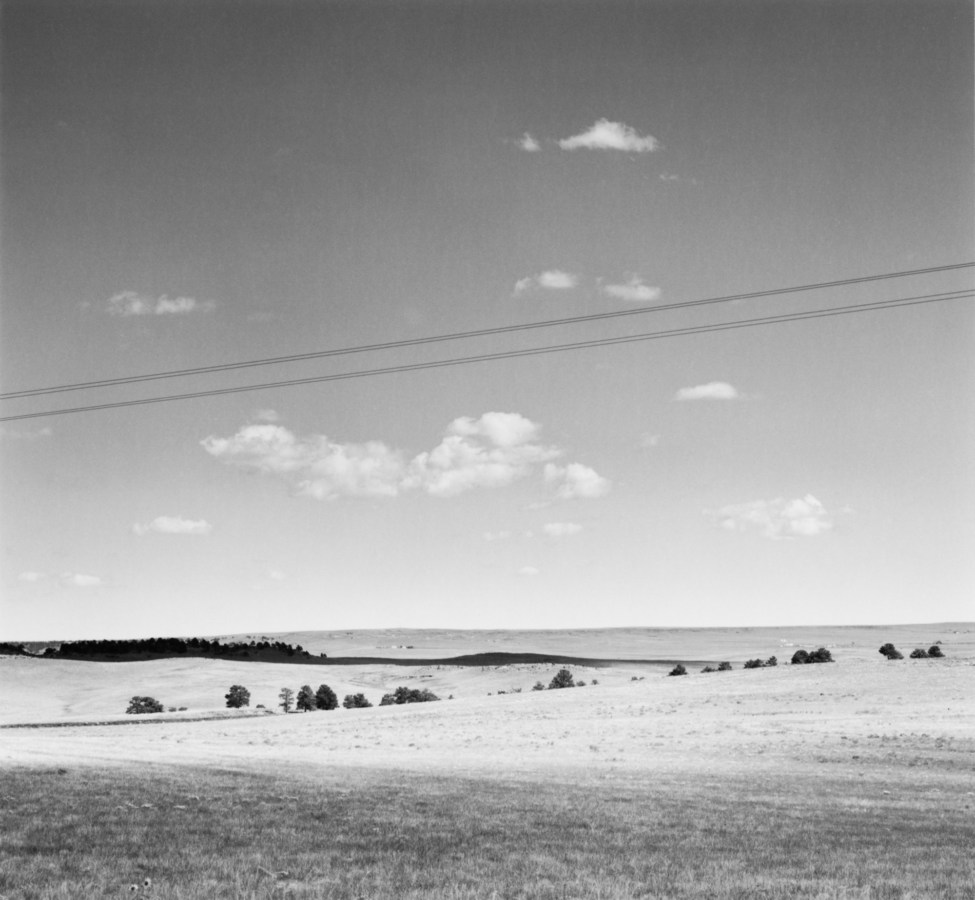 A black and white photograph of trees in an open field, with telephone lines running diagonally through the sky.