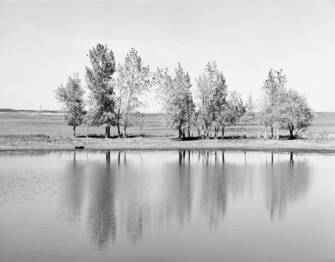 A black and white photograph of a line of trees reflected in a pond.