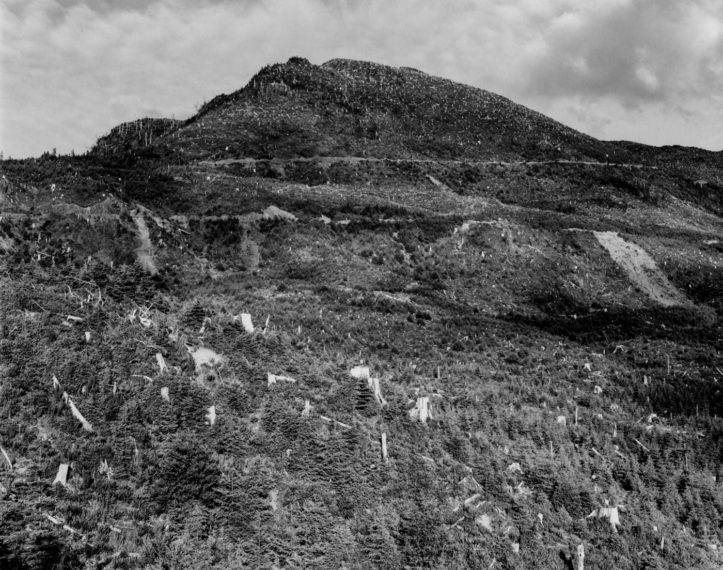 Clear-cut and burned, east of Arch Cape, Oregon, 1976, gelatin-silver print