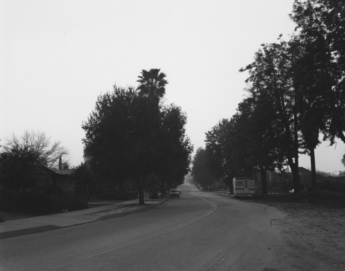 Black-and-white photograph of a treelined street with parked cars