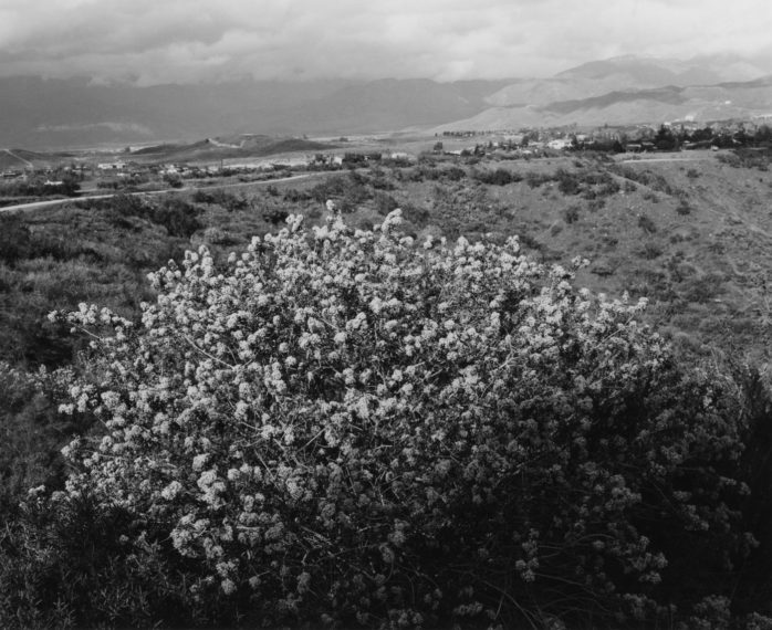 Redlands, California, 1983, gelatin-silver print