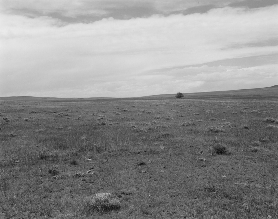 A black and white photograph of an expansive field with a single tree in the distance and an overcast sky.