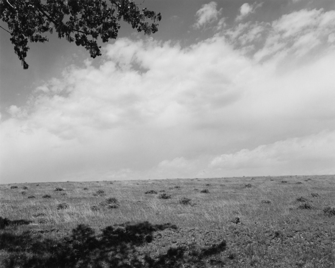 A black and white photograph of an open field with a tree branch in the top of the image and tree shadow in bottom image and a cloudy sky.