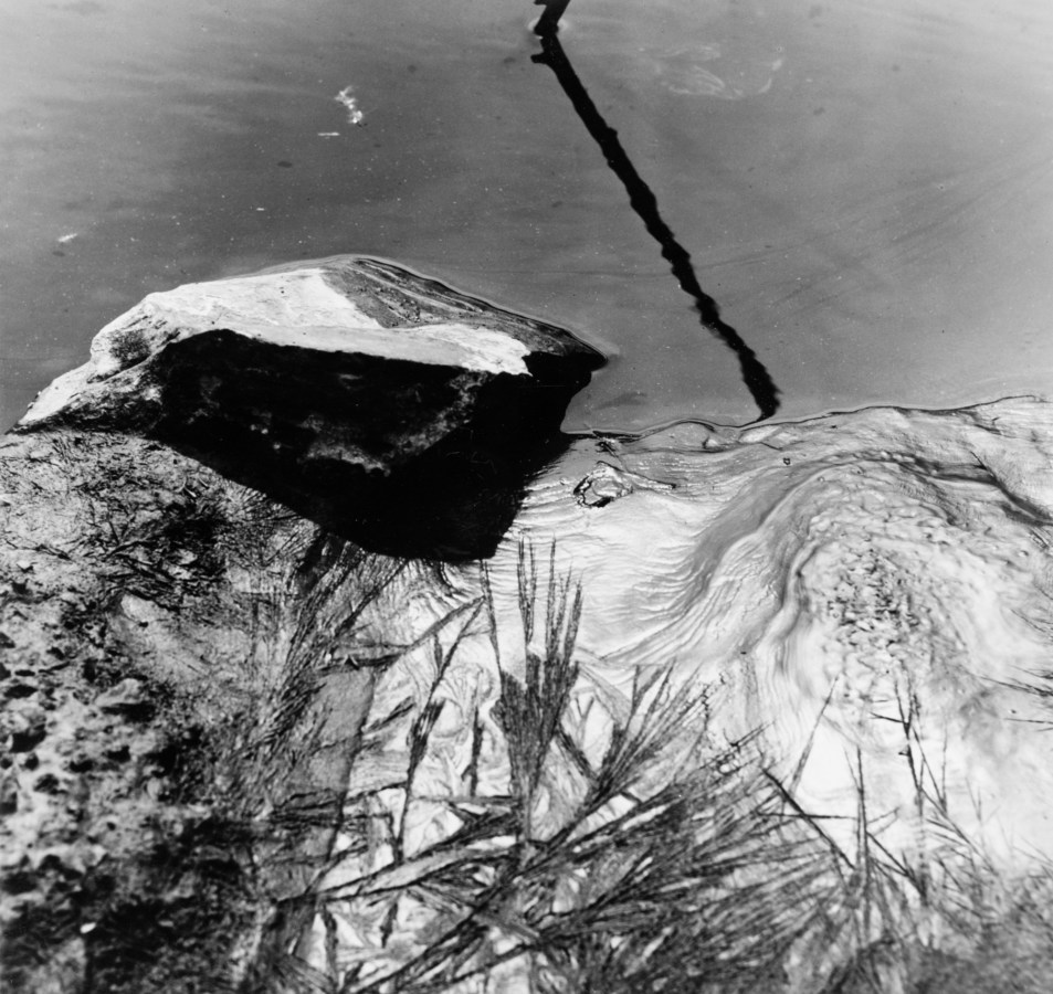 Black-and-white photograph of a partly-submerged rock in moving water reflecting pine branches above