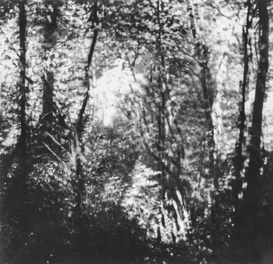 Black-and-white multiple-exposure photograph of light through trees