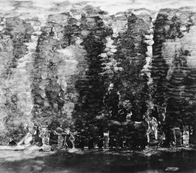 Untitled, ca. 1964, gelatin-silver print