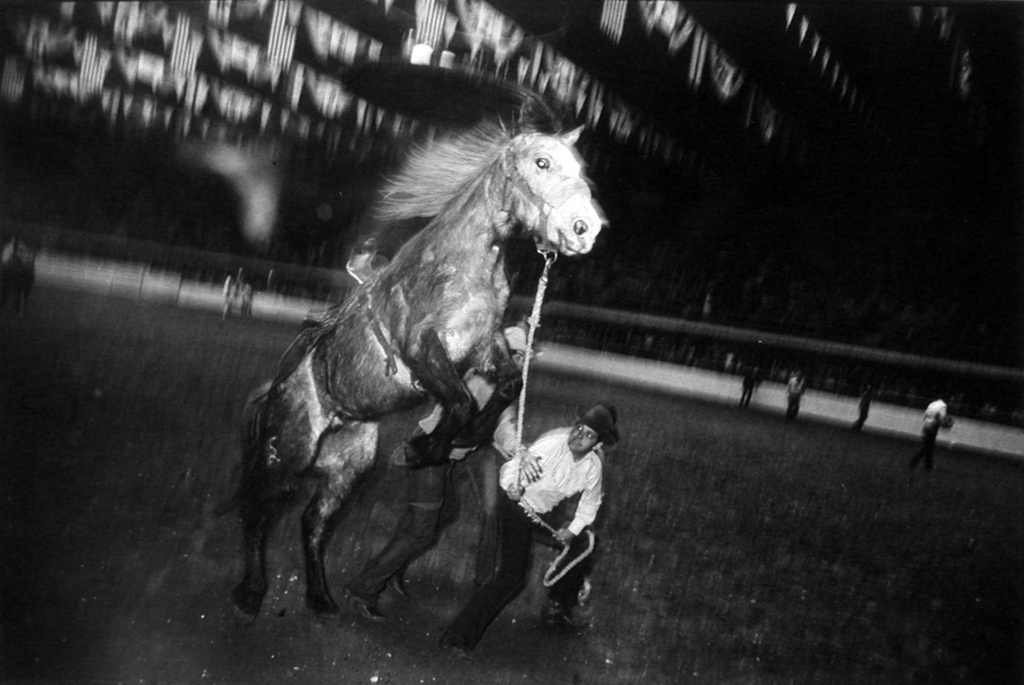 Black-and-white photograph of a horse held by two men on a rope rearing in an arena
