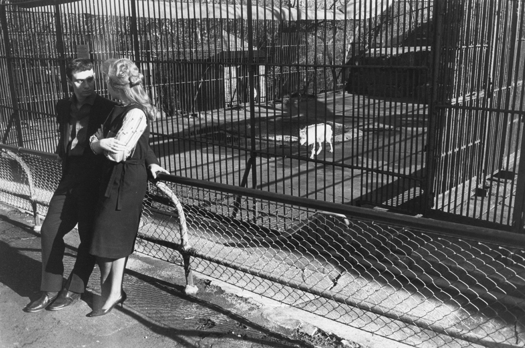 Black-and-white photograph of a man and a woman leaning against the fence of a zoo's wolf enclosure