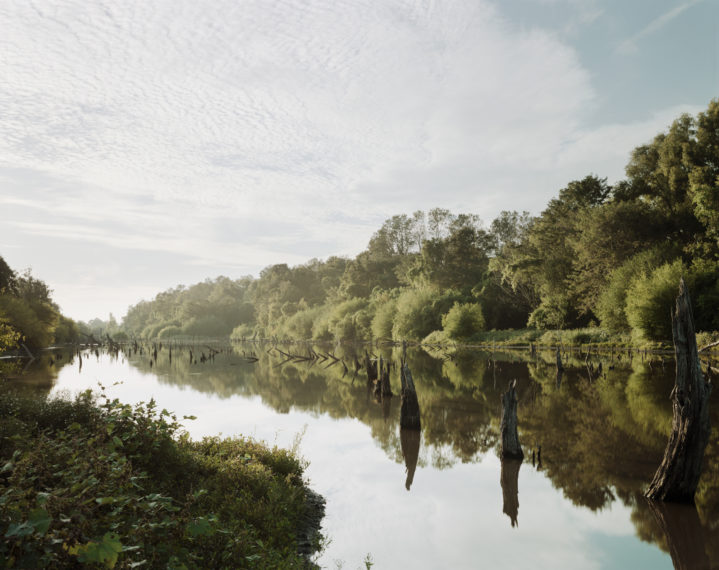 Batture, North of Port Allen, Louisiana, 1998, pigment print