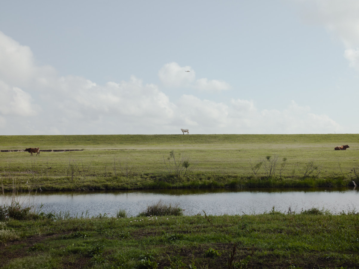 Color photograph of a water-filled ditch before a wide grassy meadow with a single cow on the horizon