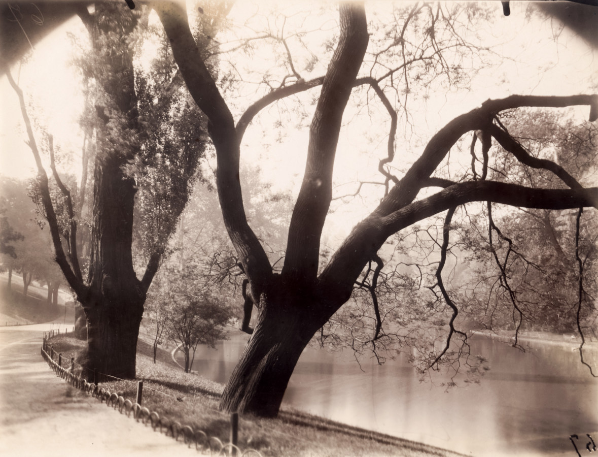 Black and white photograph of trees along a riverbank and a paved path