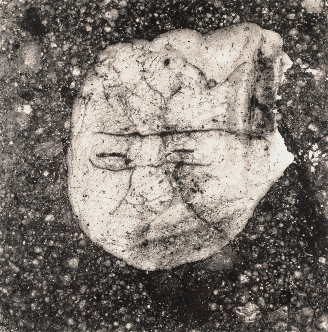 Irving Penn: Underfoot | Fraenkel Gallery