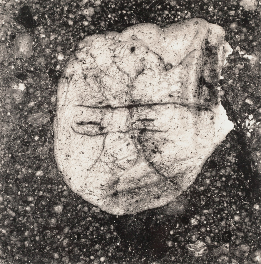 Black and white photograph of a chewed up piece of gum on asphalt