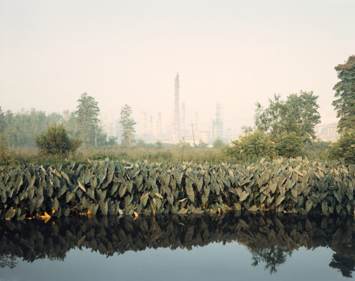 Roadside Vegetation and Orion Refining Corporation, Good Hope, Louisiana
, 1998, pigment print