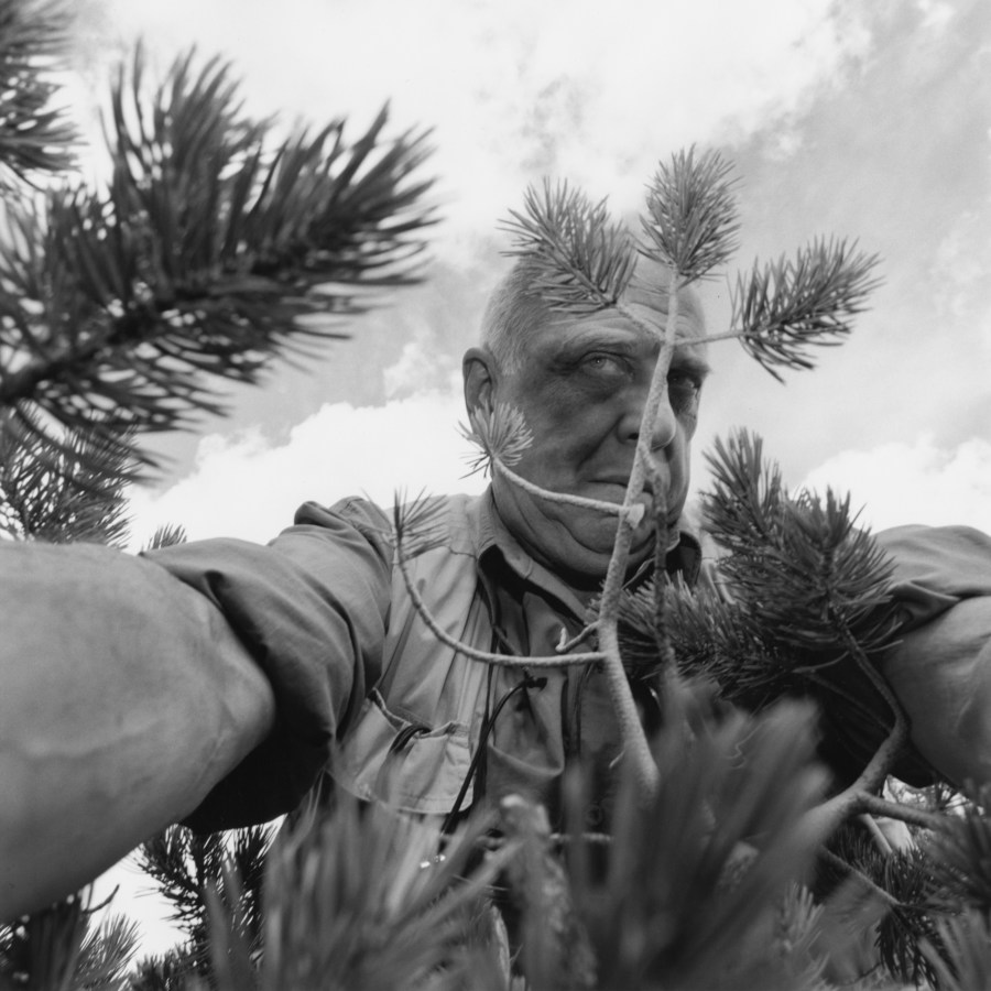 Black and white photograph of a man taking his photograph through pine branches