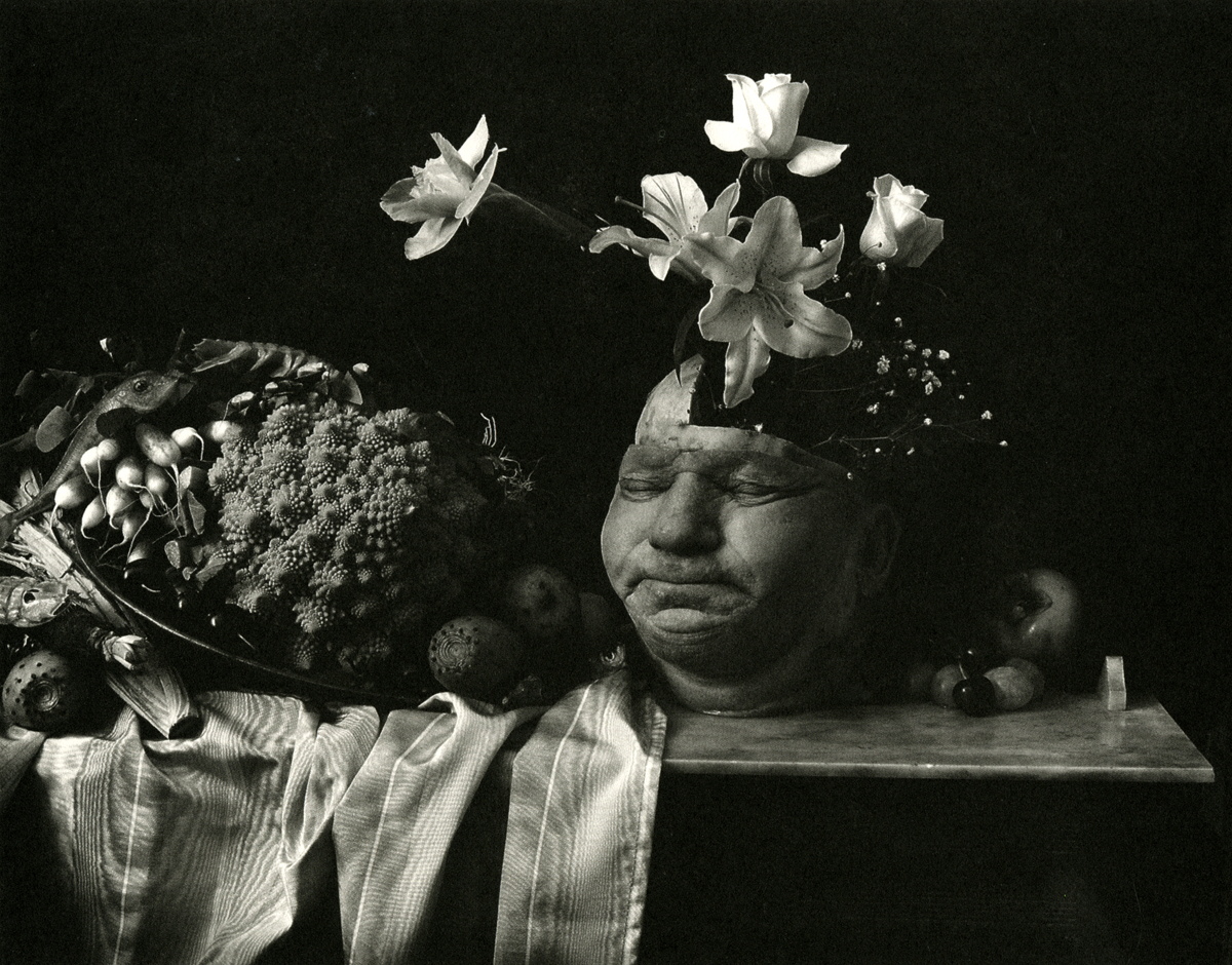 アート・デザイン・音楽 Joel-Peter Witkin/PHOTO POCHE PHOTO POCHE #49: JOEL-PETER WITKIN (SIGNED) – Familiar Trees