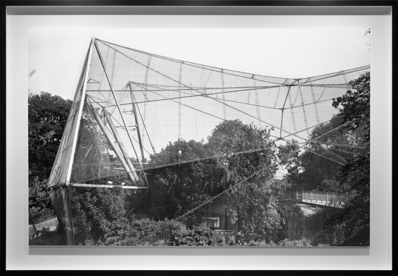 Black-and-white photograph of a netted outdoor structure surrounding trees