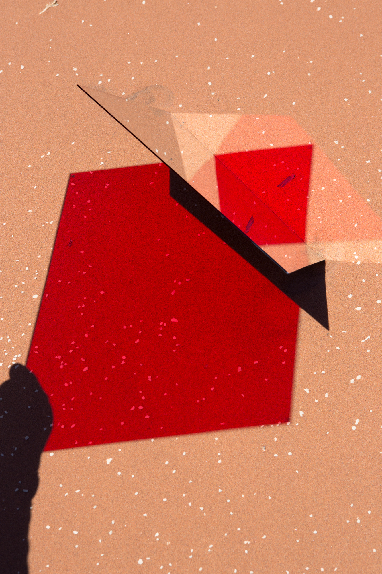 Where There Viviane Sassen  UMBRAサイン入り