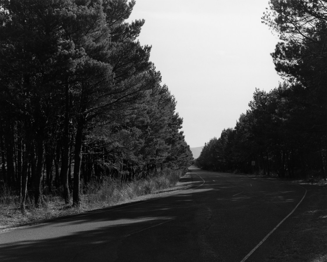 black-and-white horizontal photo of a road running through a forrest with tall trees and a bright sky